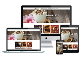 design & develop responsive, SEO friendly Wordpress website/blog