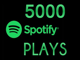add more than 5000+ plays to your song on spotify